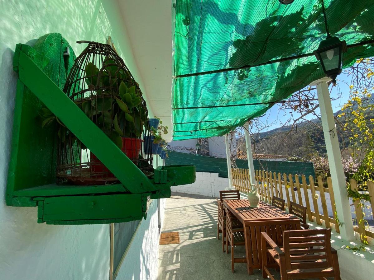 La Huerta Del Castillo Con Su Caz De Agua - Enjoy Life & Relax Castillo de Locubín 外观 照片